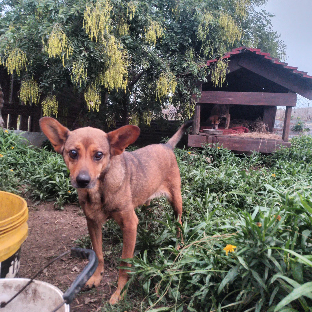 Huerta orgánica y naturaleza